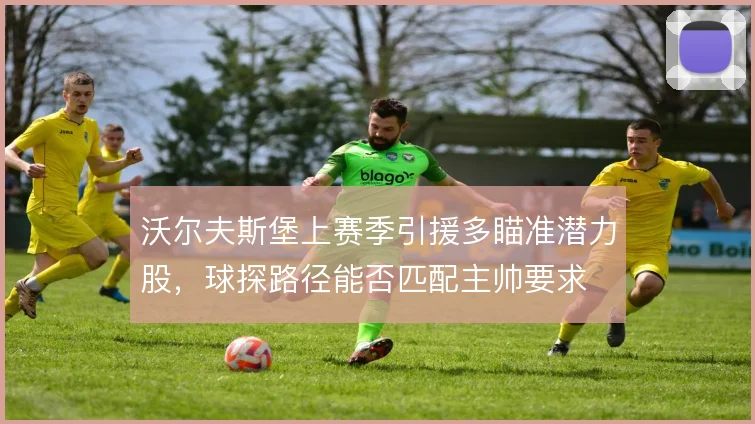 沃尔夫斯堡上赛季引援多瞄准潜力股,球探路径能否匹配主帅要求