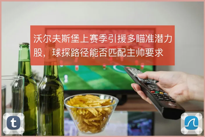 沃尔夫斯堡上赛季引援多瞄准潜力股，球探路径能否匹配主帅要求